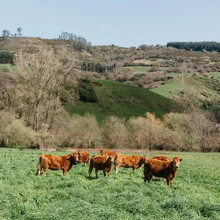 Boutique Pacheca Country house