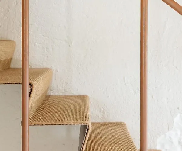 Nueva Pacheca Boutique