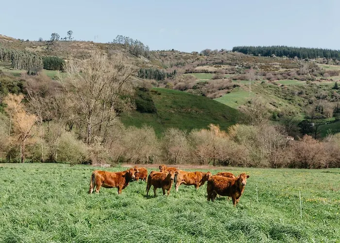 Nueva Pacheca Boutique Casa rural