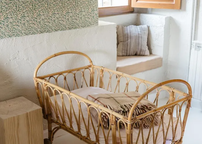 Nueva Pacheca Boutique