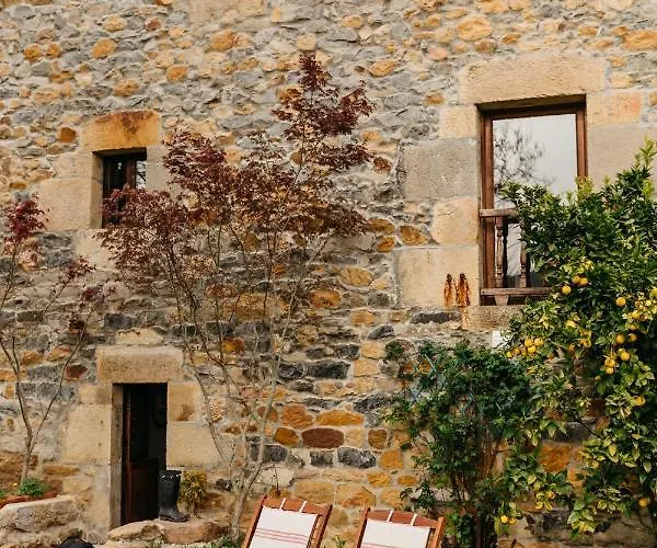 Nueva Pacheca Boutique